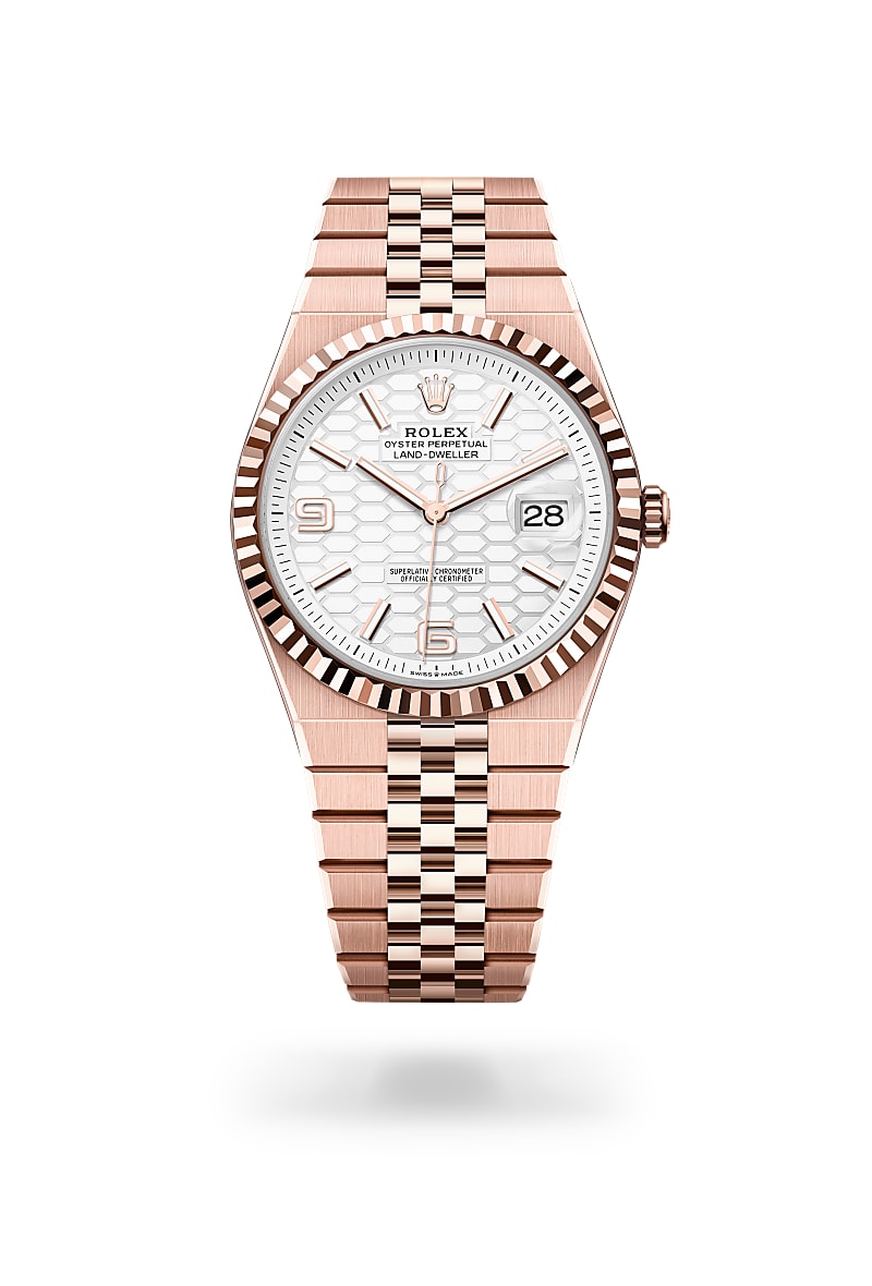 rolex Land-Dweller de 18 ct Everose gold, M127335-0001 - Perodri Joyeros