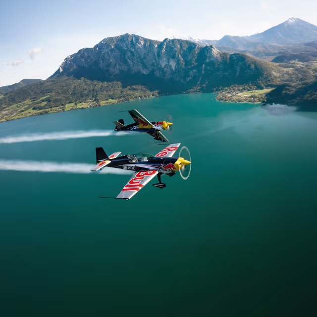 THE FLYING BULLS 