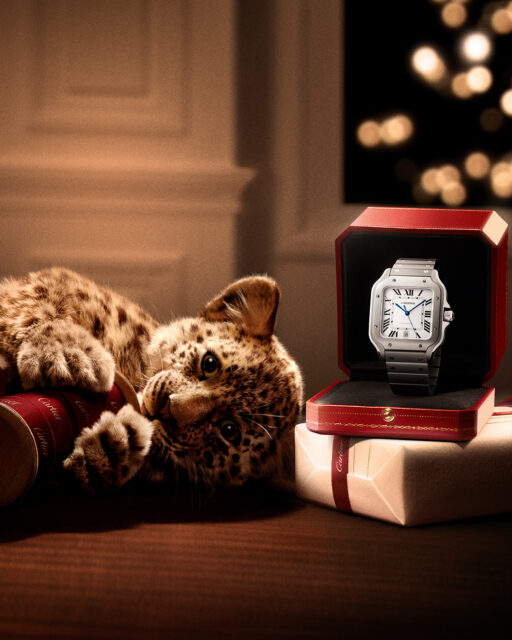 Santos de Cartier. Un regalo que celebra el espíritu pionero con esta versión de titanio. #Cartier #CartierCelebrates #CartierMagicalNight #SantosdeCartier