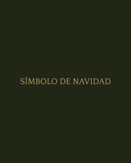 Luz, emoción y memoria. Así es Símbolo de Navidad. 

#SímbolodeNavidad #PerodriJoyeros