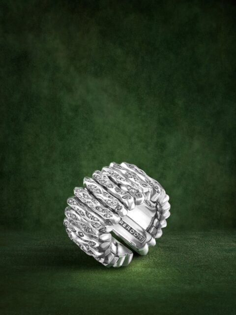 Oro blanco y diamantes en talla brillante que se combinan en proporciones que respiran, en curvas que hablan del carácter pionero de nuestra Casa y transmiten la esencia de la colección Salvaje: libertad, fuerza y autenticidad.
#PerodriJoyeros #ColecciónSalvaje