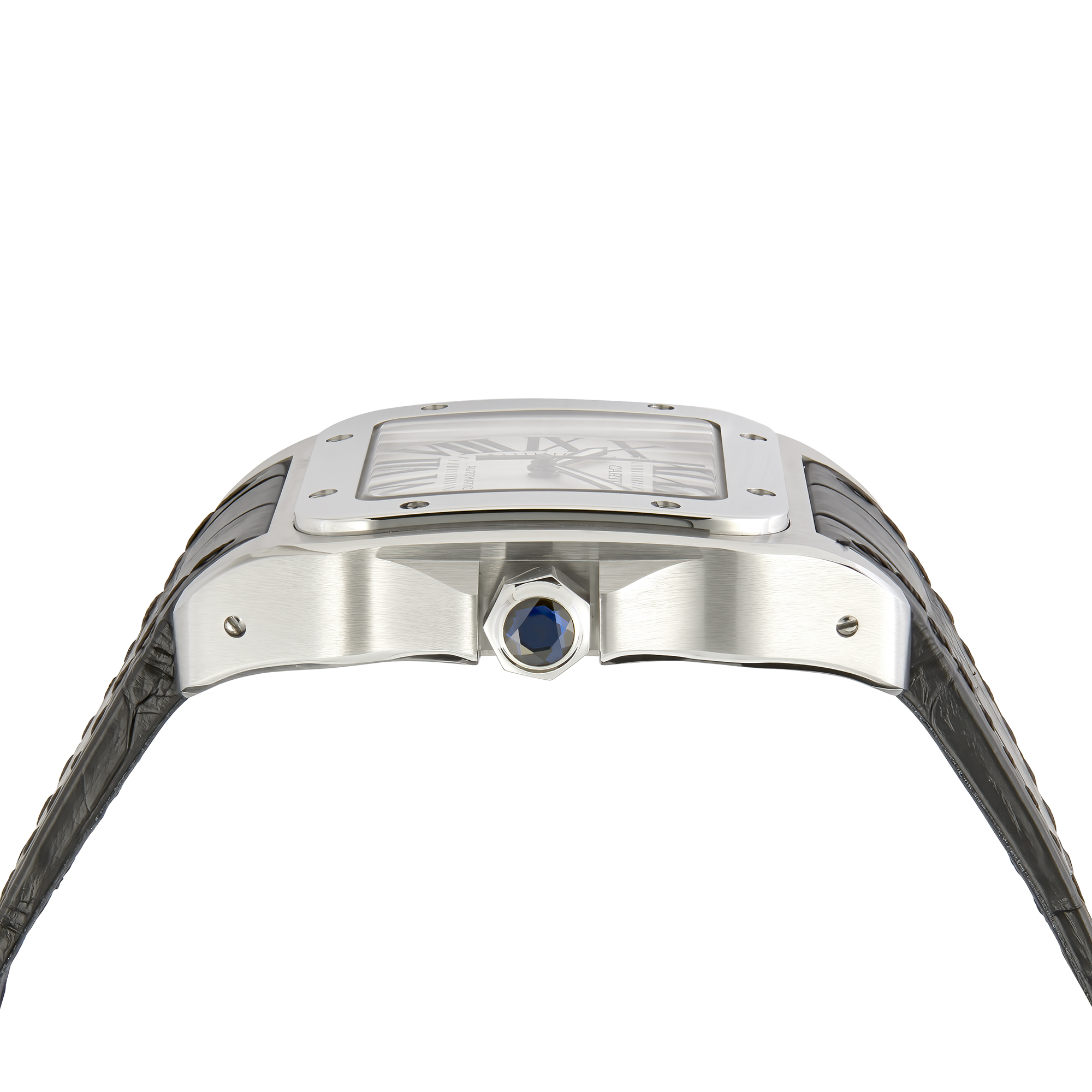 Cartier Santos 100 Cartier Santos 100