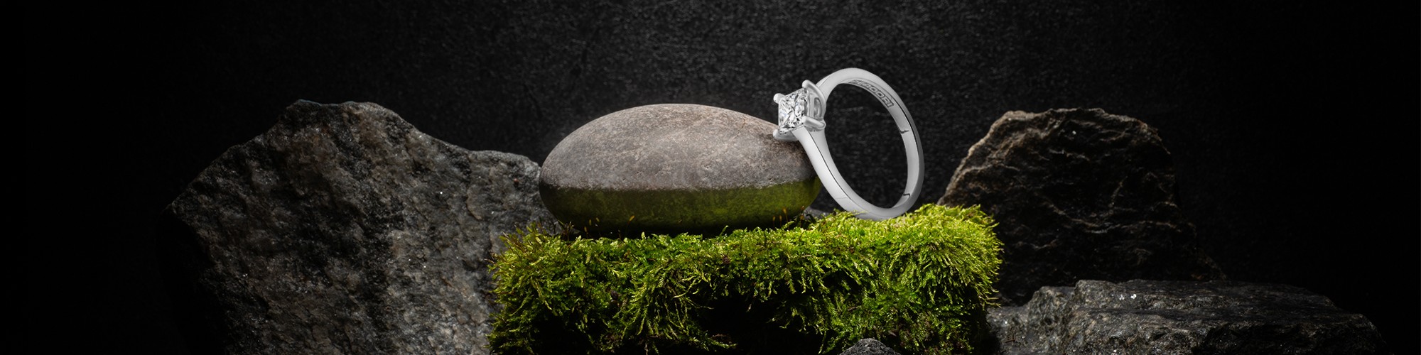 Anillos de compromiso