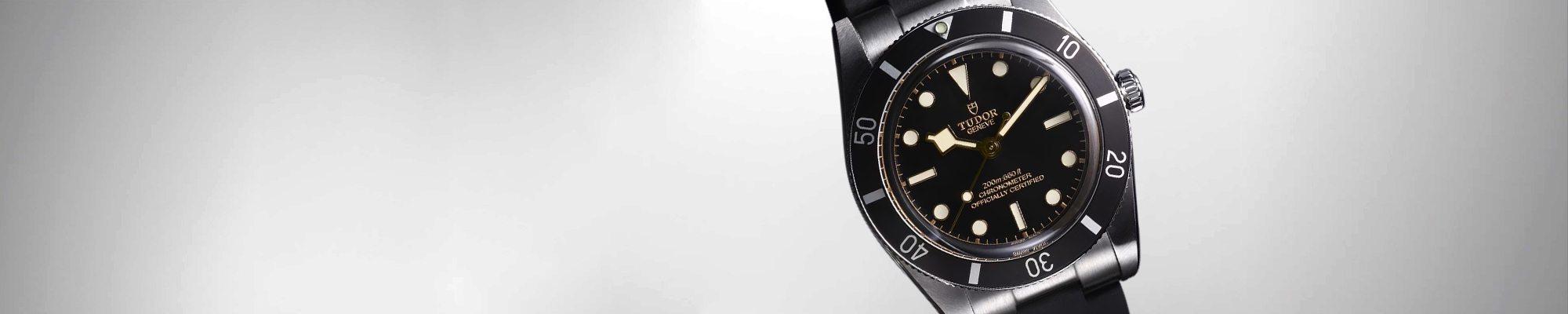 Tudor Novedades