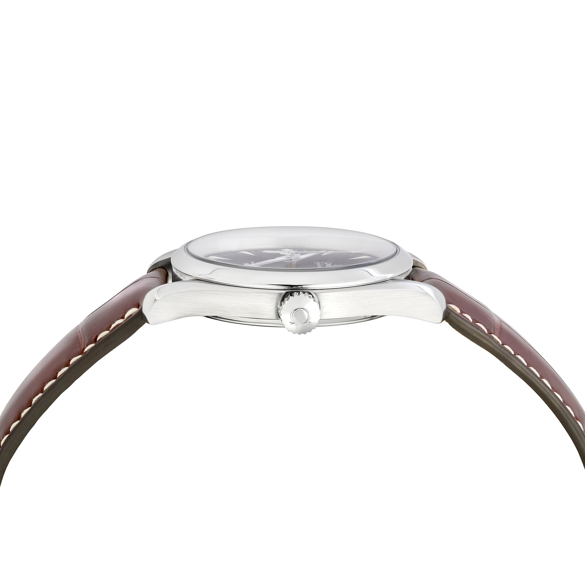 Omega Seamaster Rail Master