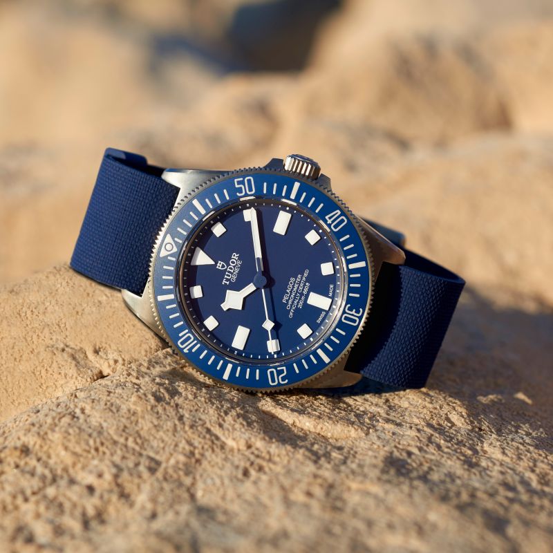 Tudor Pelagos FXD: historia y modelos