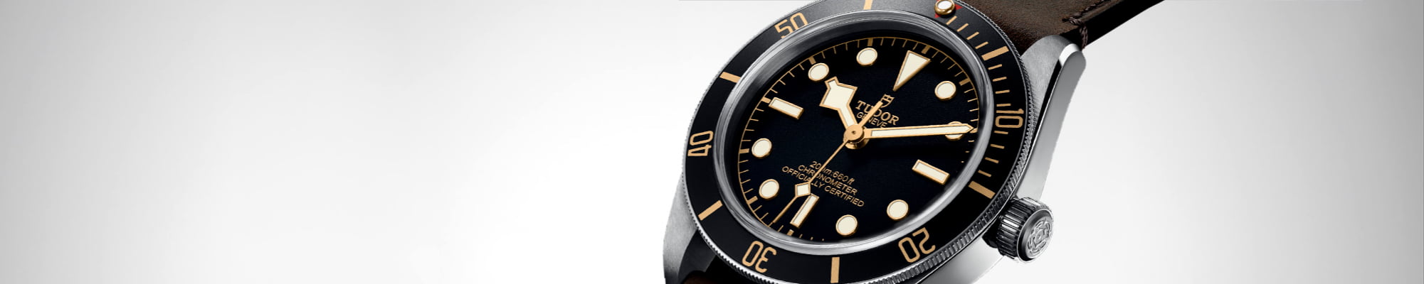 Tudor