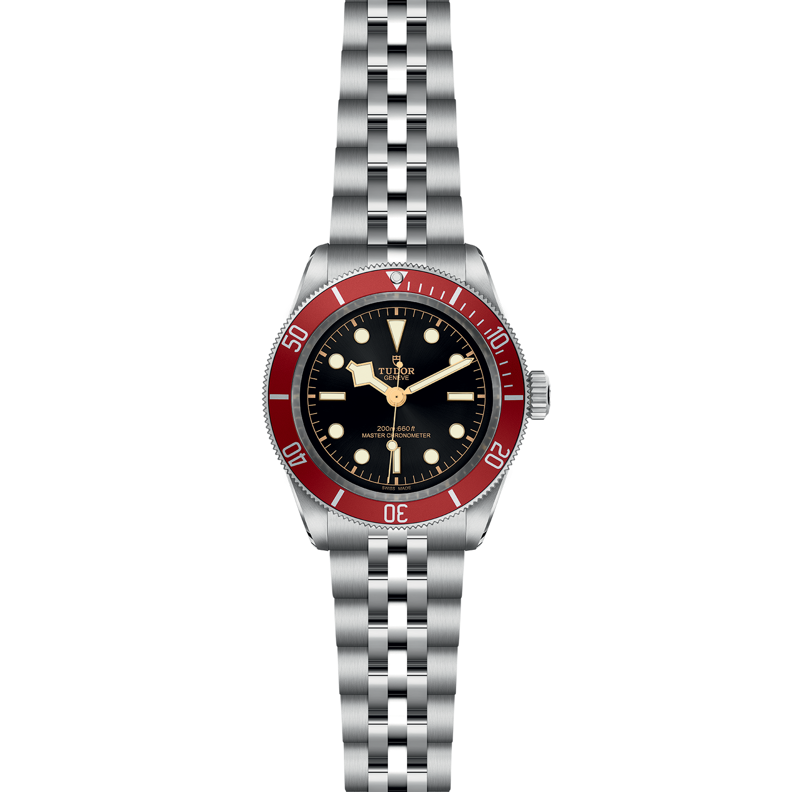 TUDOR Black Bay - Imagen 2