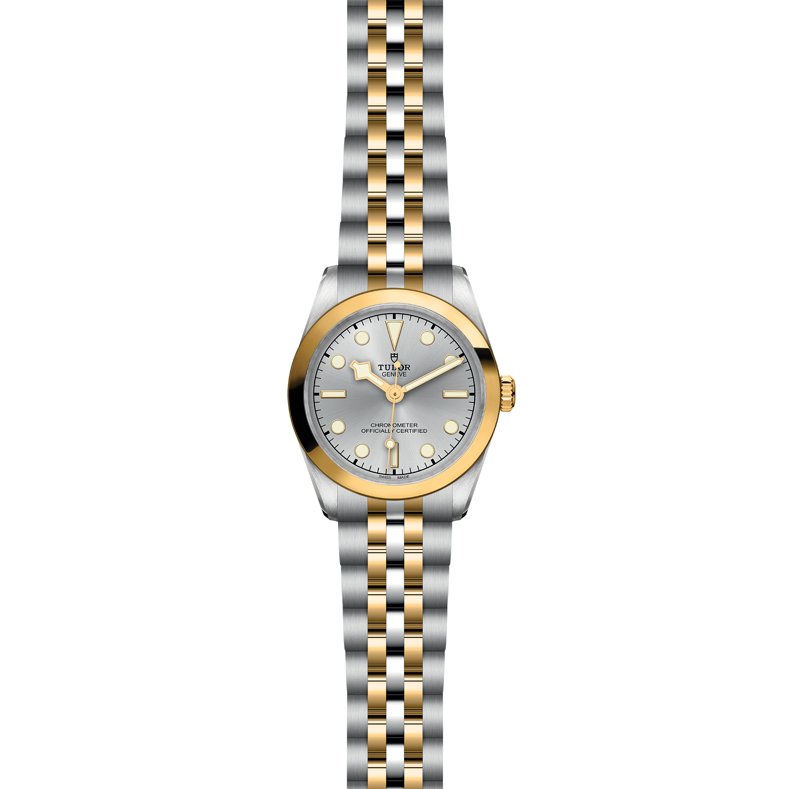 TUDOR Black Bay 31 S&G - Imagen 2