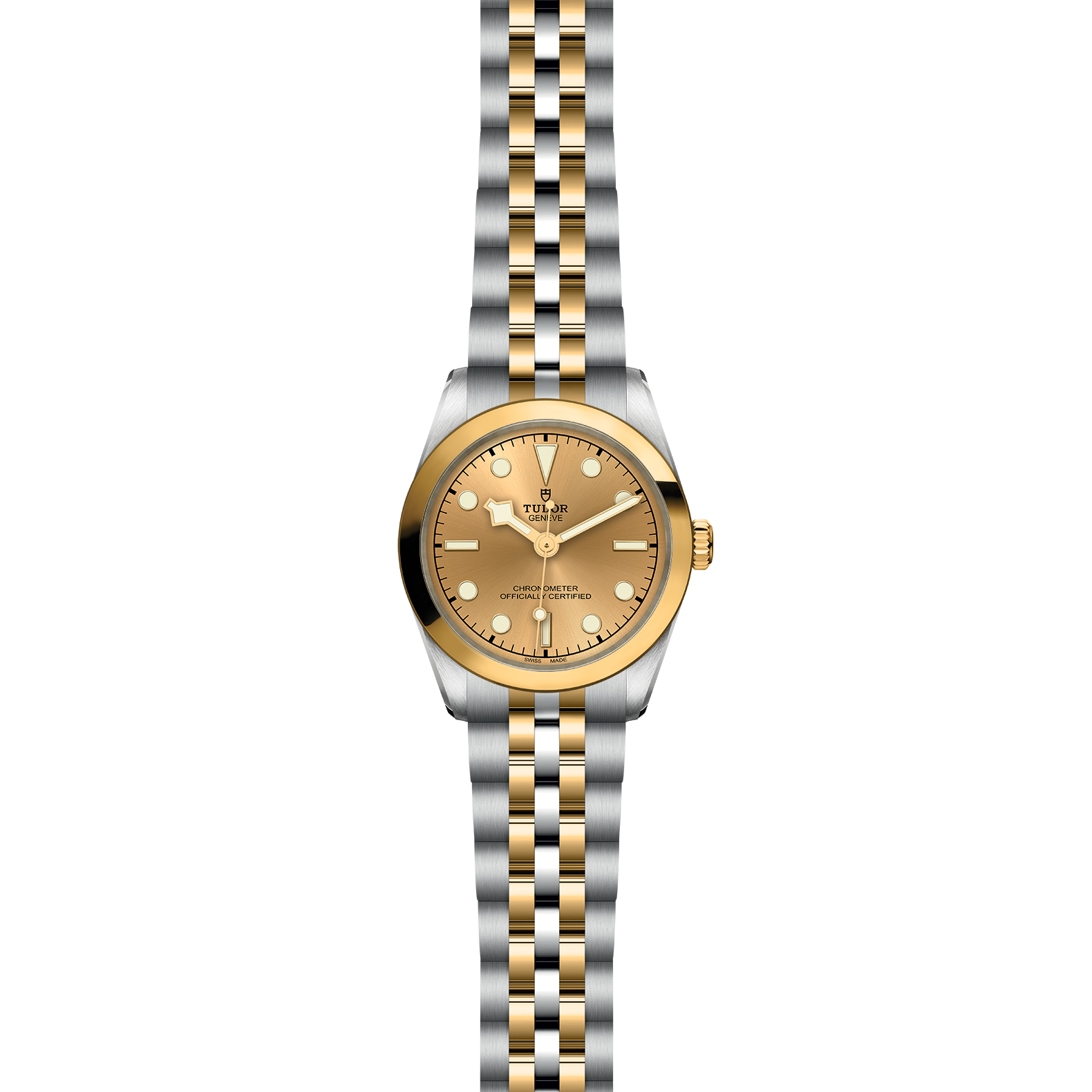 TUDOR Black Bay 31 S&G - Imagen 2