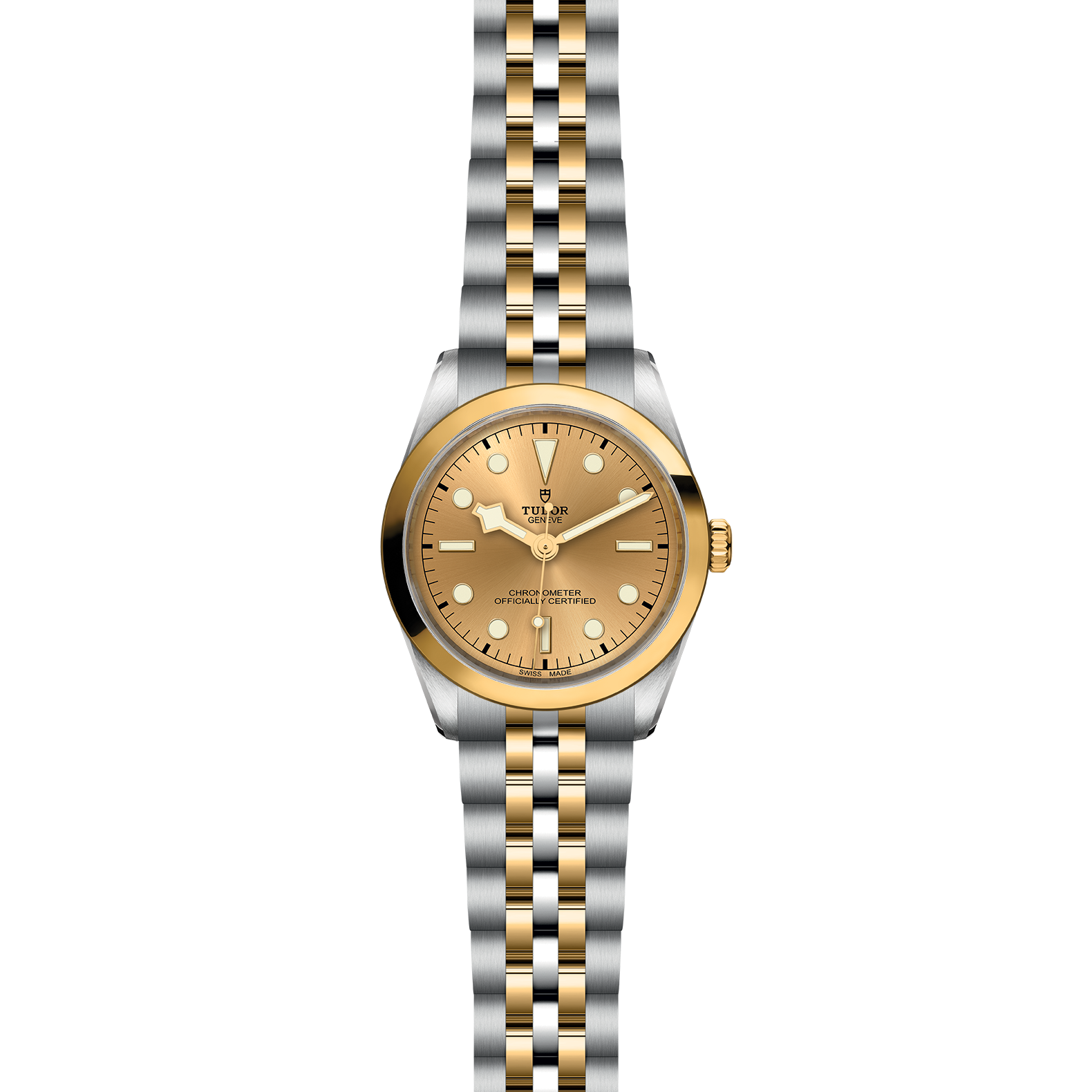 TUDOR Black Bay 36 S&G - Imagen 2