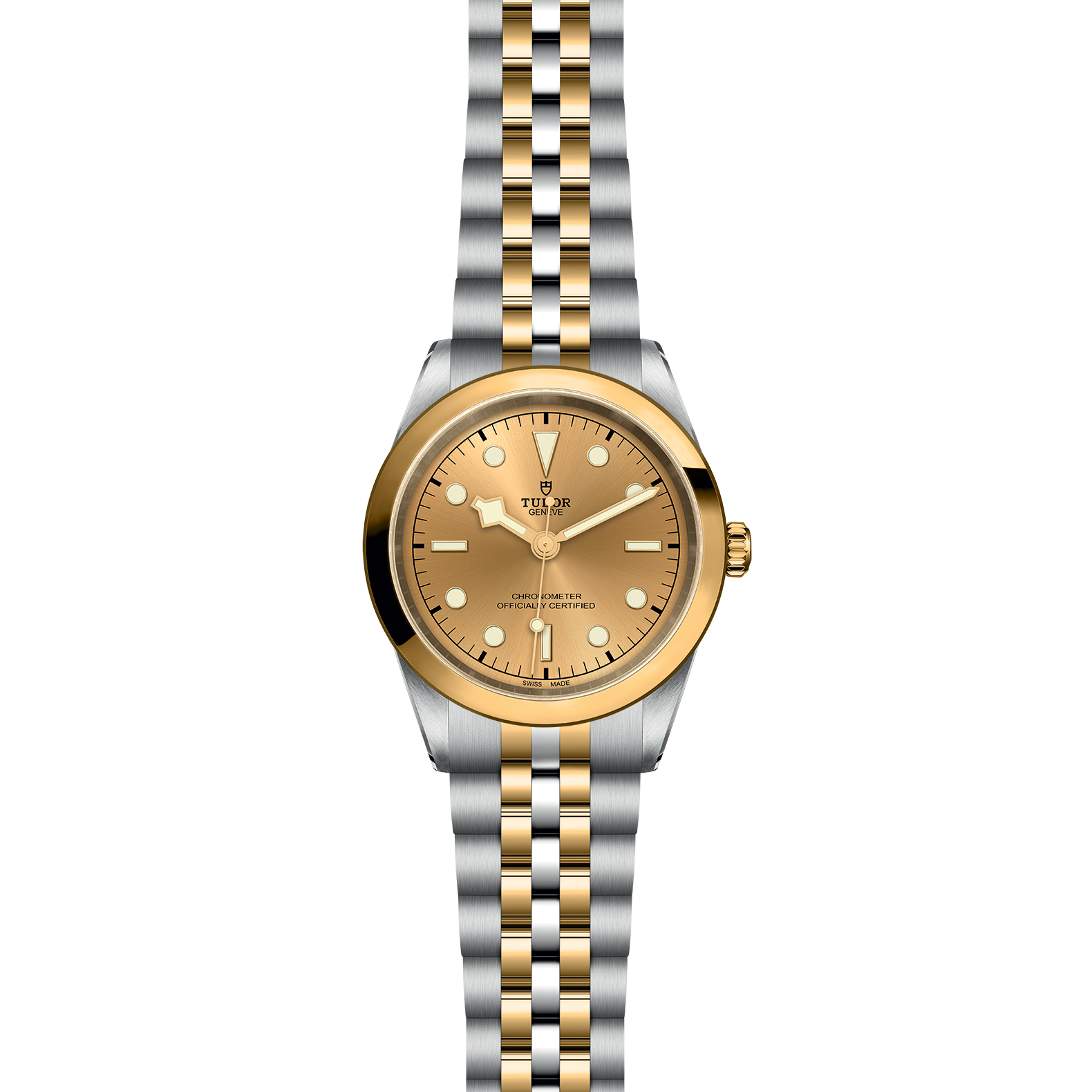 TUDOR Black Bay 41 S&G - Imagen 2