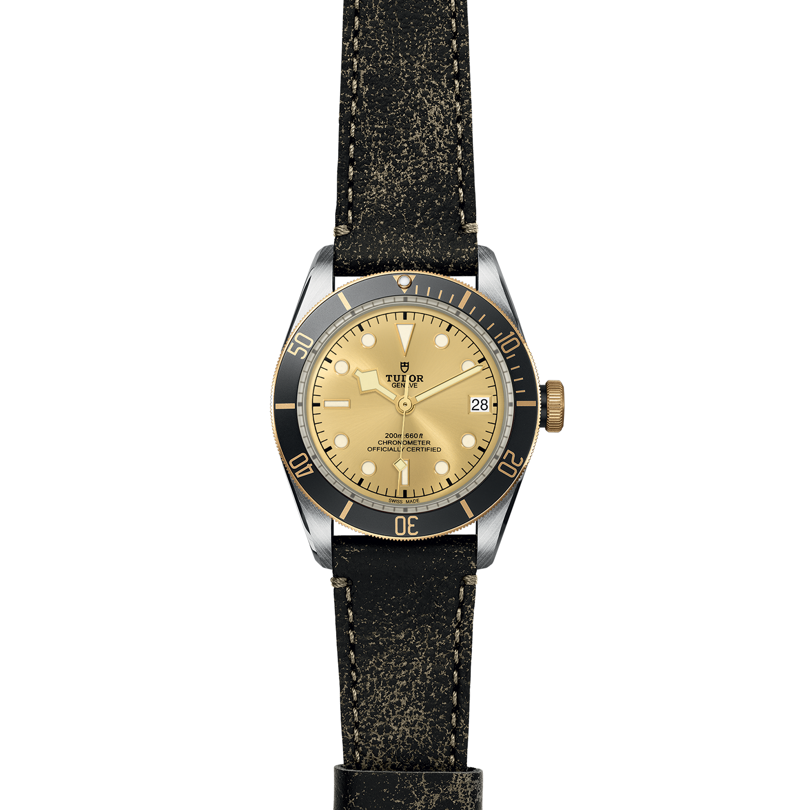 TUDOR Black Bay S&G - Imagen 2
