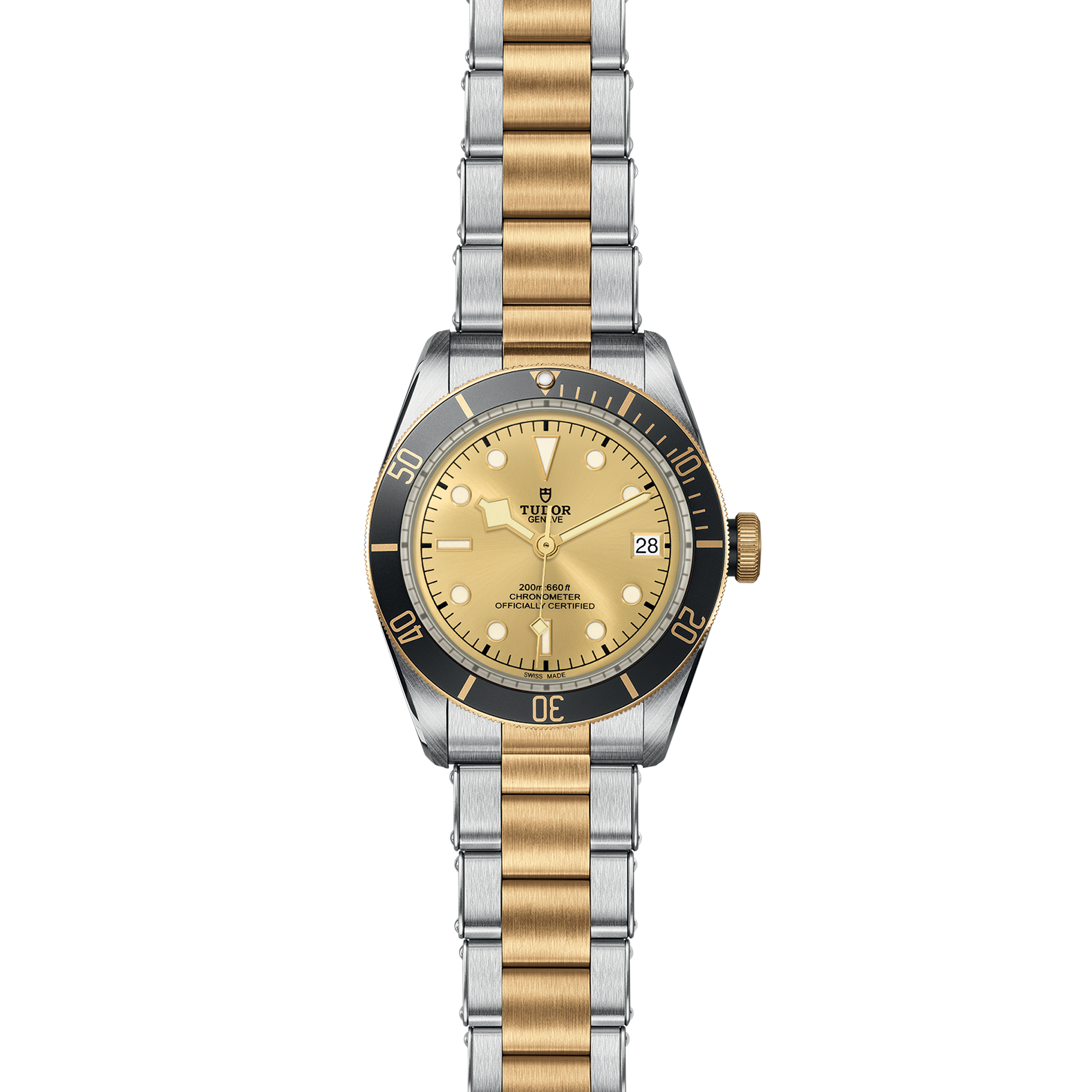 TUDOR Black Bay S&G - Imagen 2