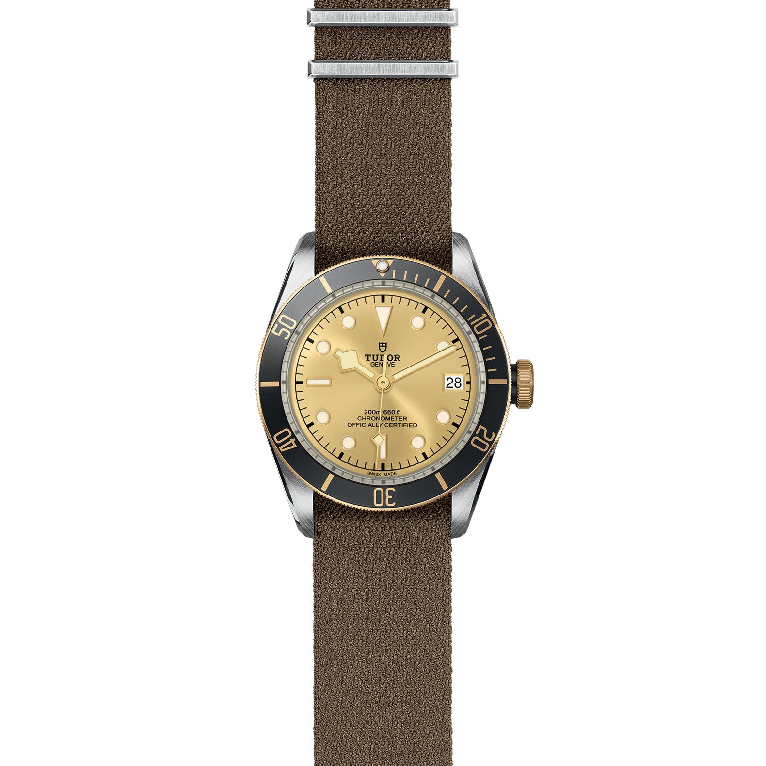 TUDOR Black Bay S&G - Imagen 2