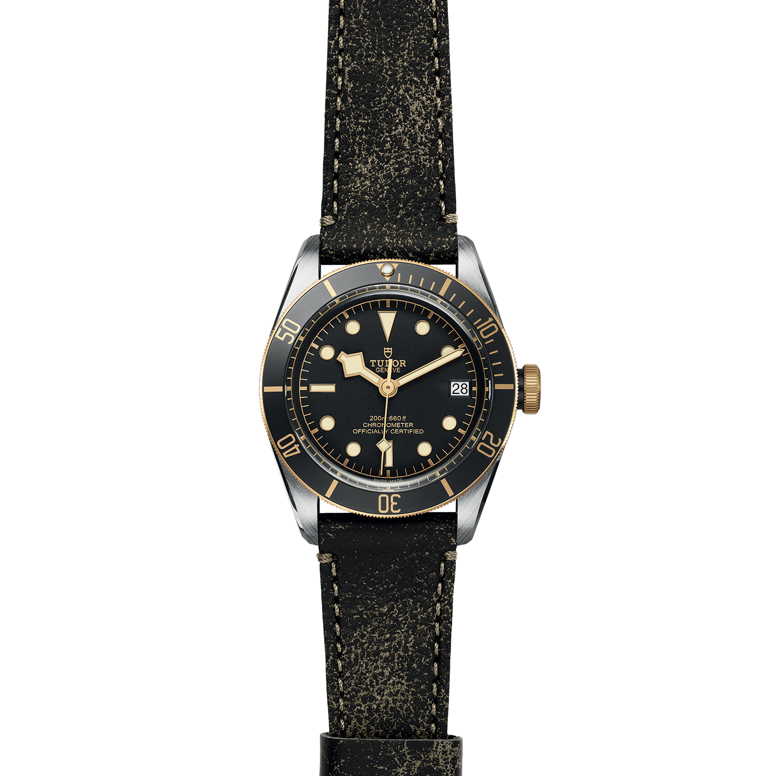 TUDOR Black Bay S&G - Imagen 2