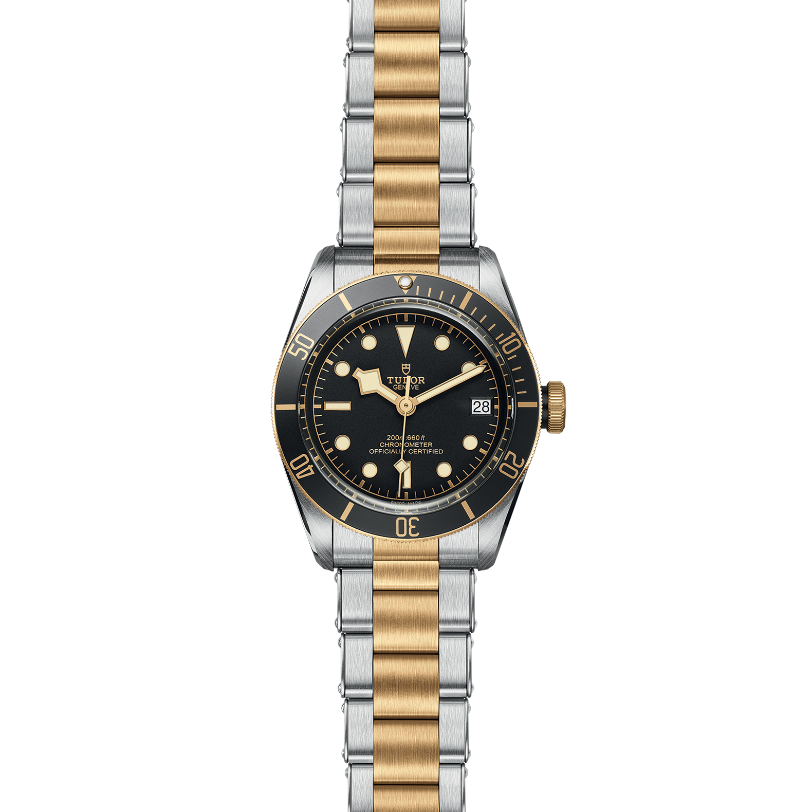TUDOR Black Bay S&G - Imagen 2