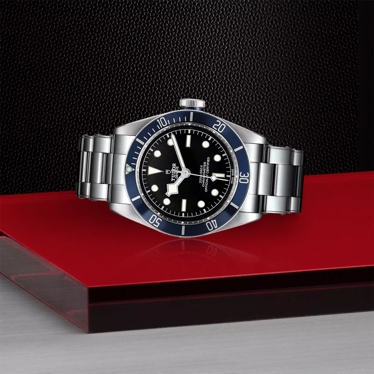 TUDOR Black Bay - Imagen 3