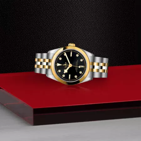 TUDOR Black Bay 31 S&G - Imagen 3