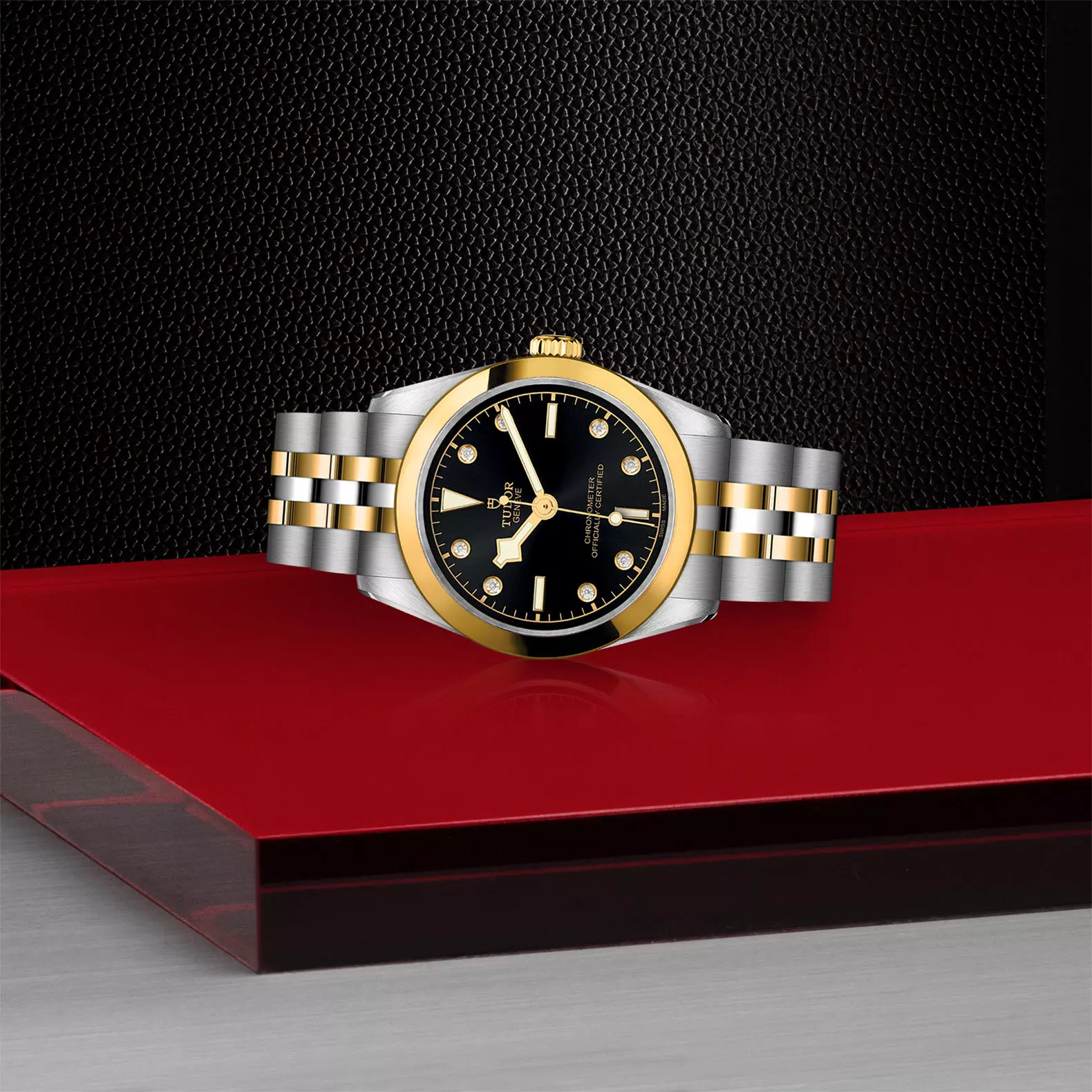 TUDOR Black Bay 31 S&G - Imagen 3
