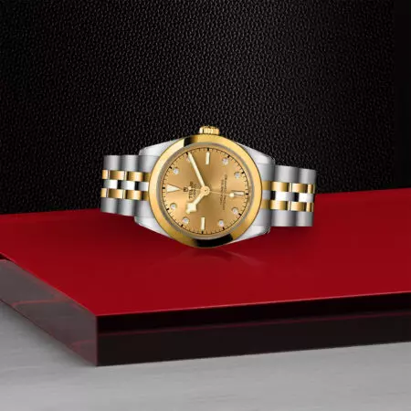 TUDOR Black Bay 31 S&G - Imagen 3