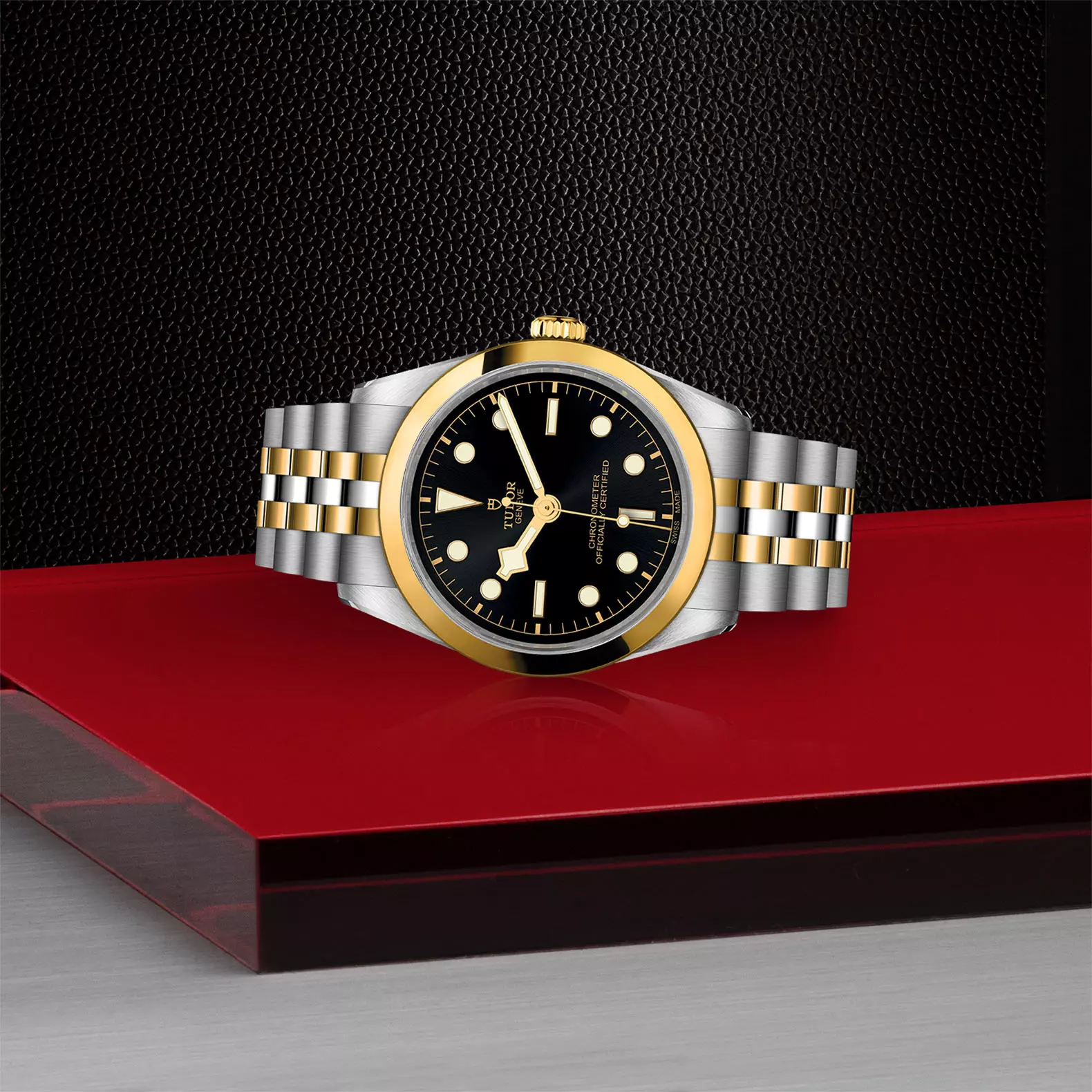 TUDOR Black Bay 36 S&G - Imagen 3