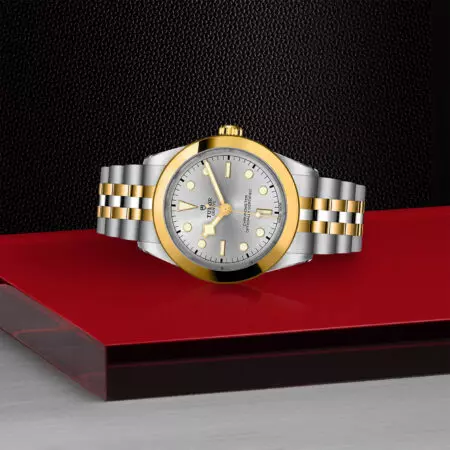 TUDOR Black Bay 39 S&G - Imagen 3