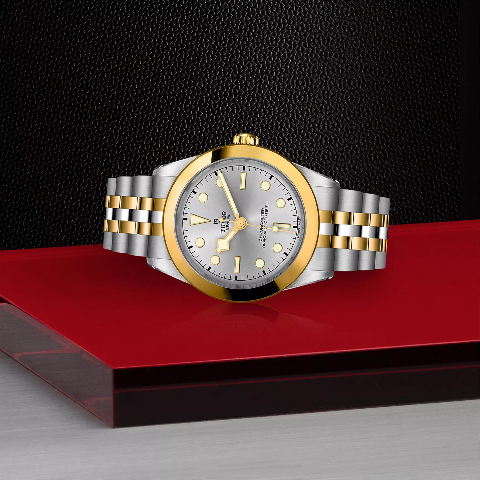 TUDOR Black Bay 39 S&G - Imagen 3