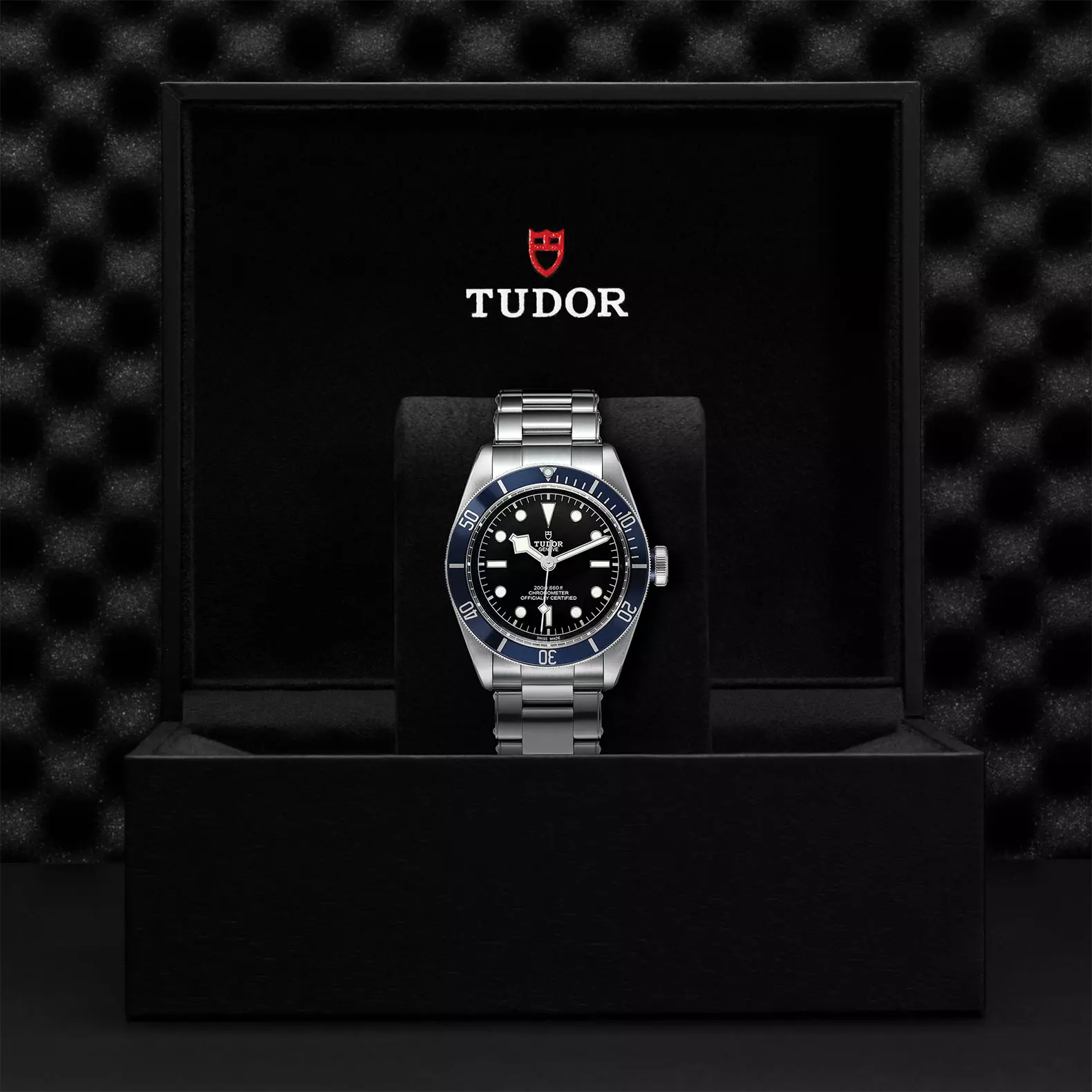 TUDOR Black Bay - Imagen 4