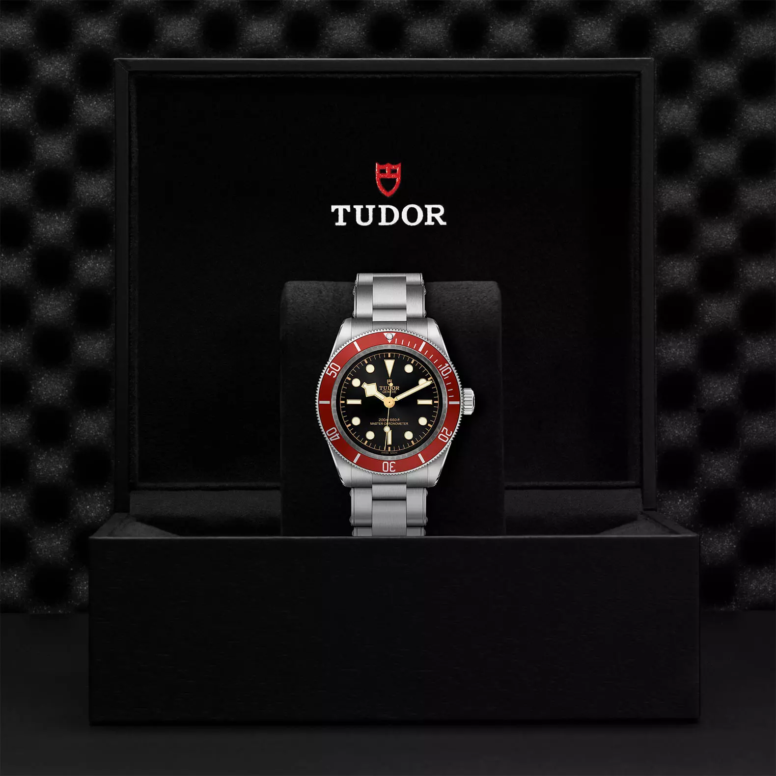 TUDOR Black Bay - Imagen 4