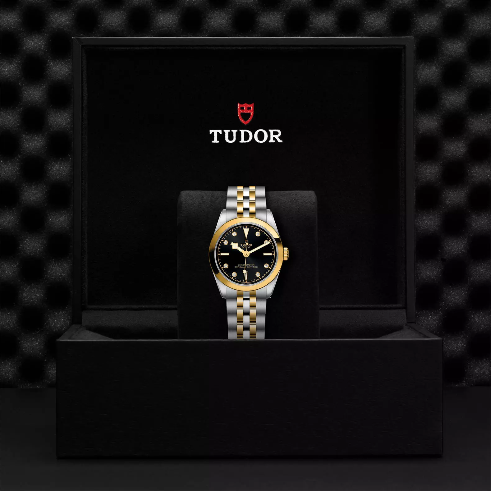 TUDOR Black Bay 31 S&G - Imagen 4