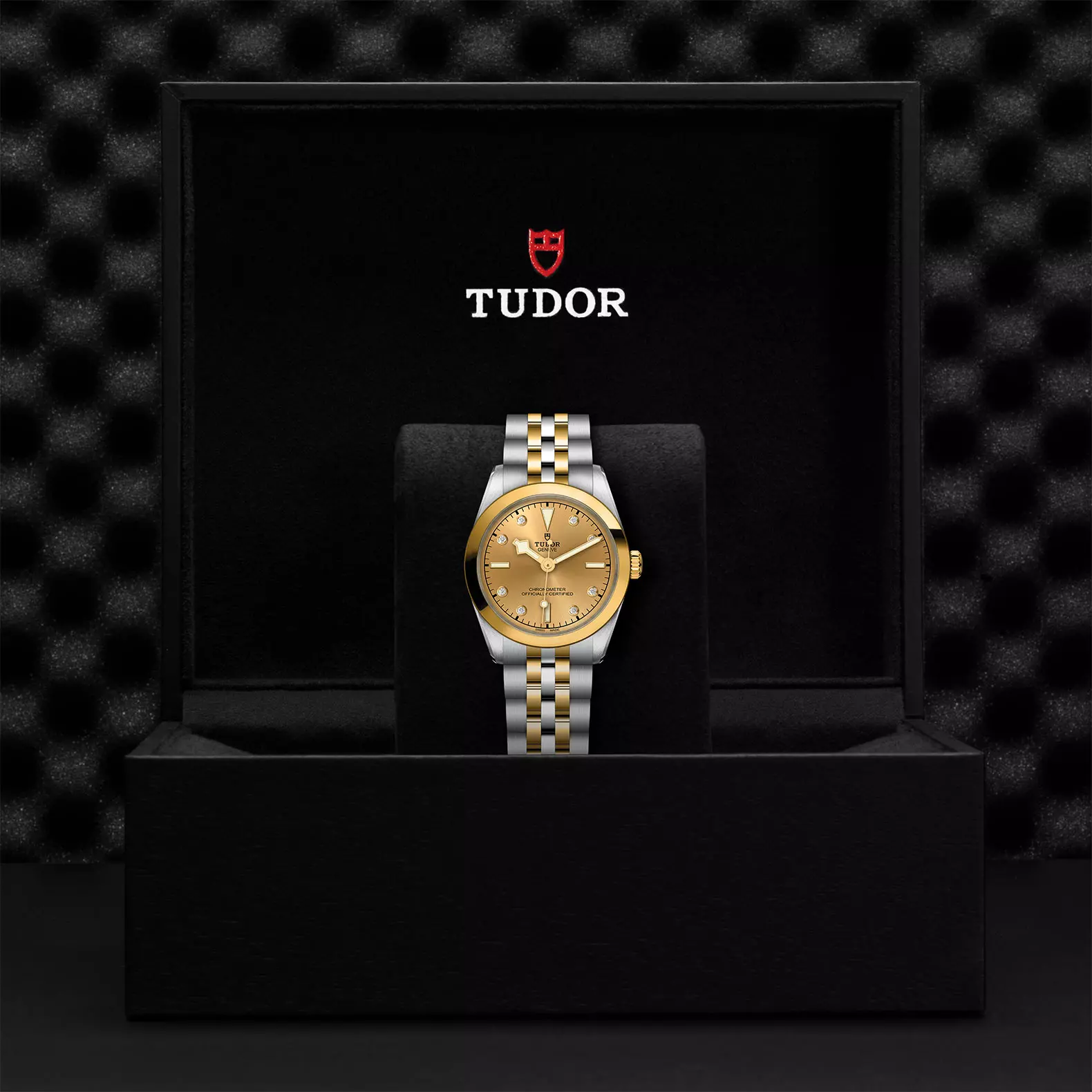 TUDOR Black Bay 31 S&G - Imagen 4