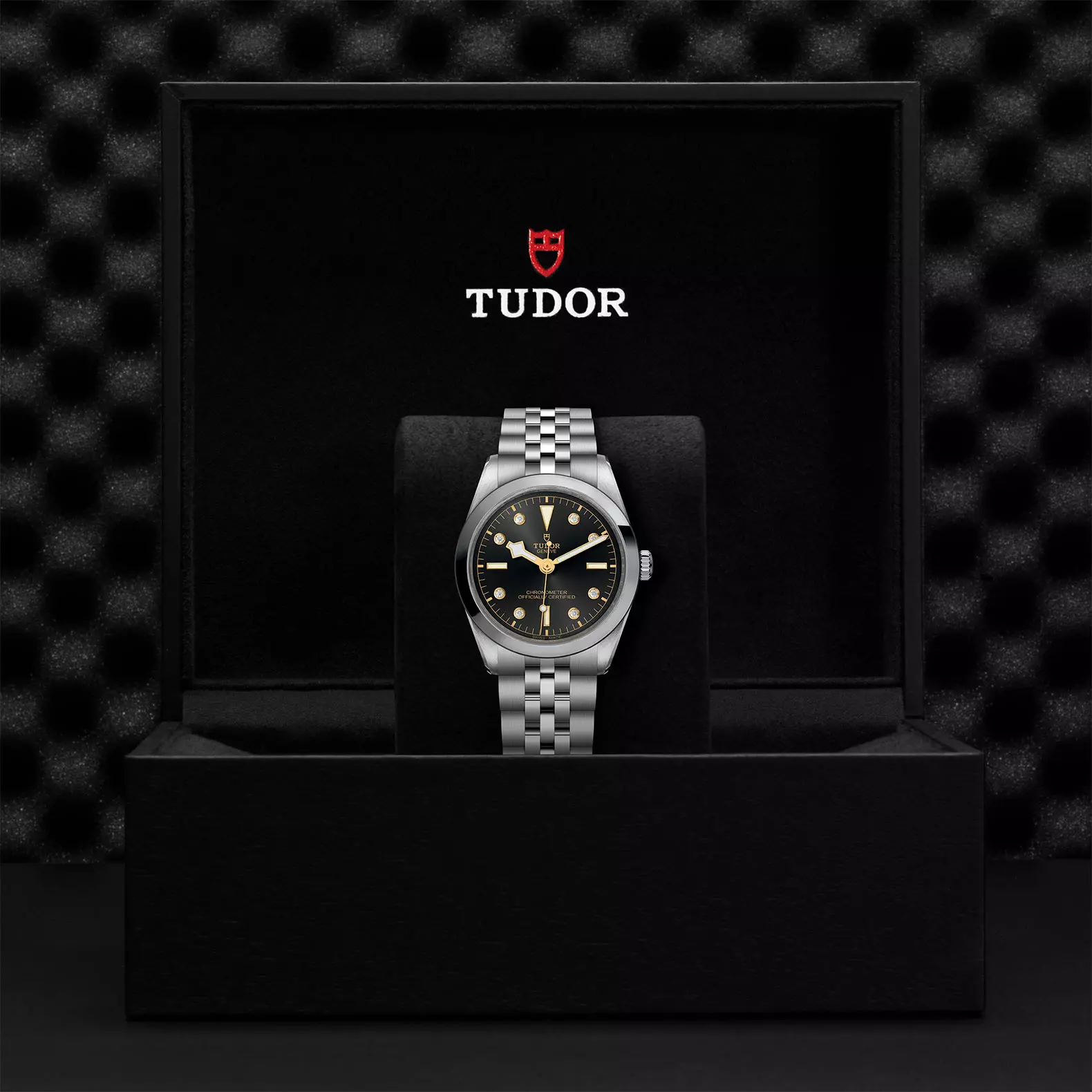 TUDOR Black Bay 36 - Imagen 4