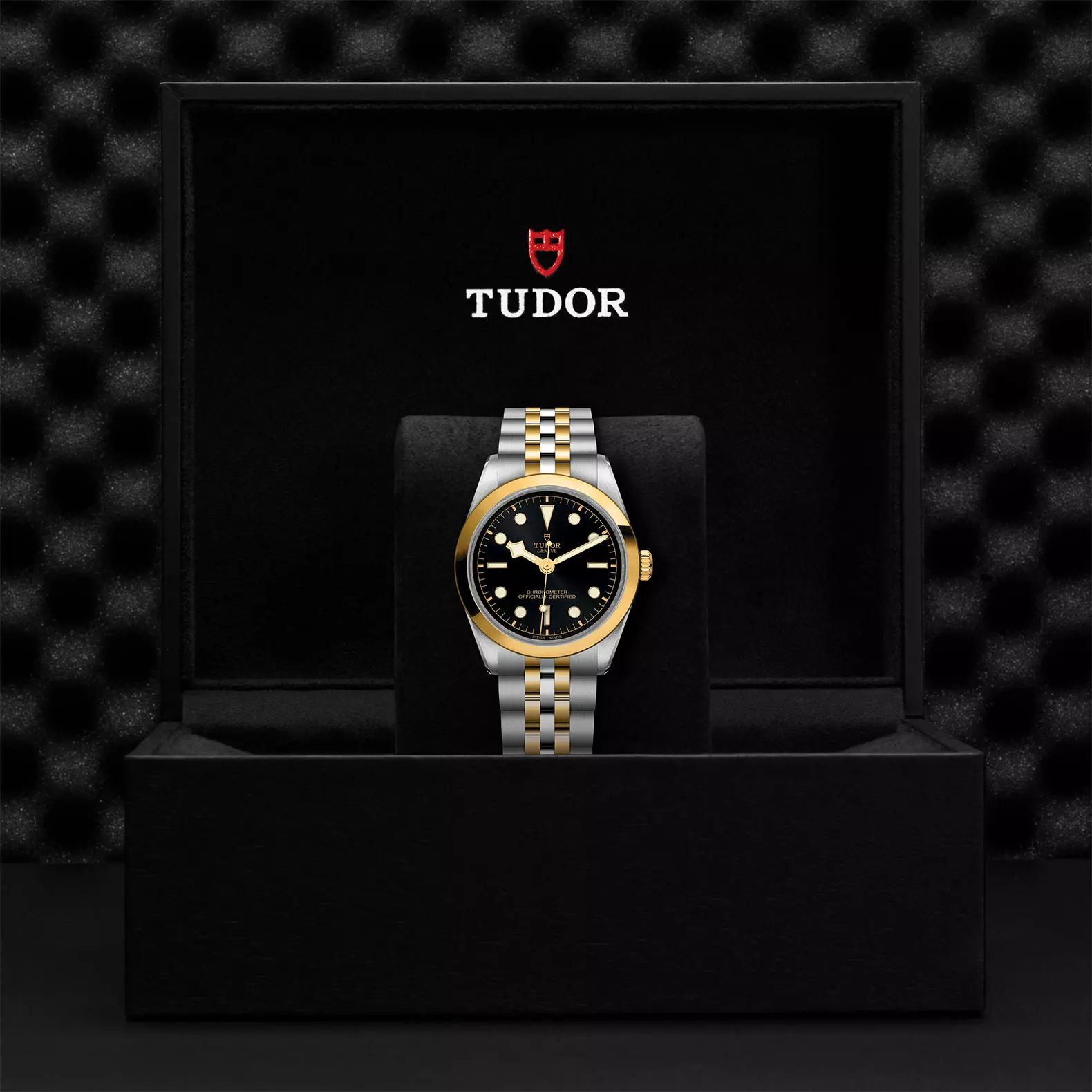 TUDOR Black Bay 36 S&G - Imagen 4