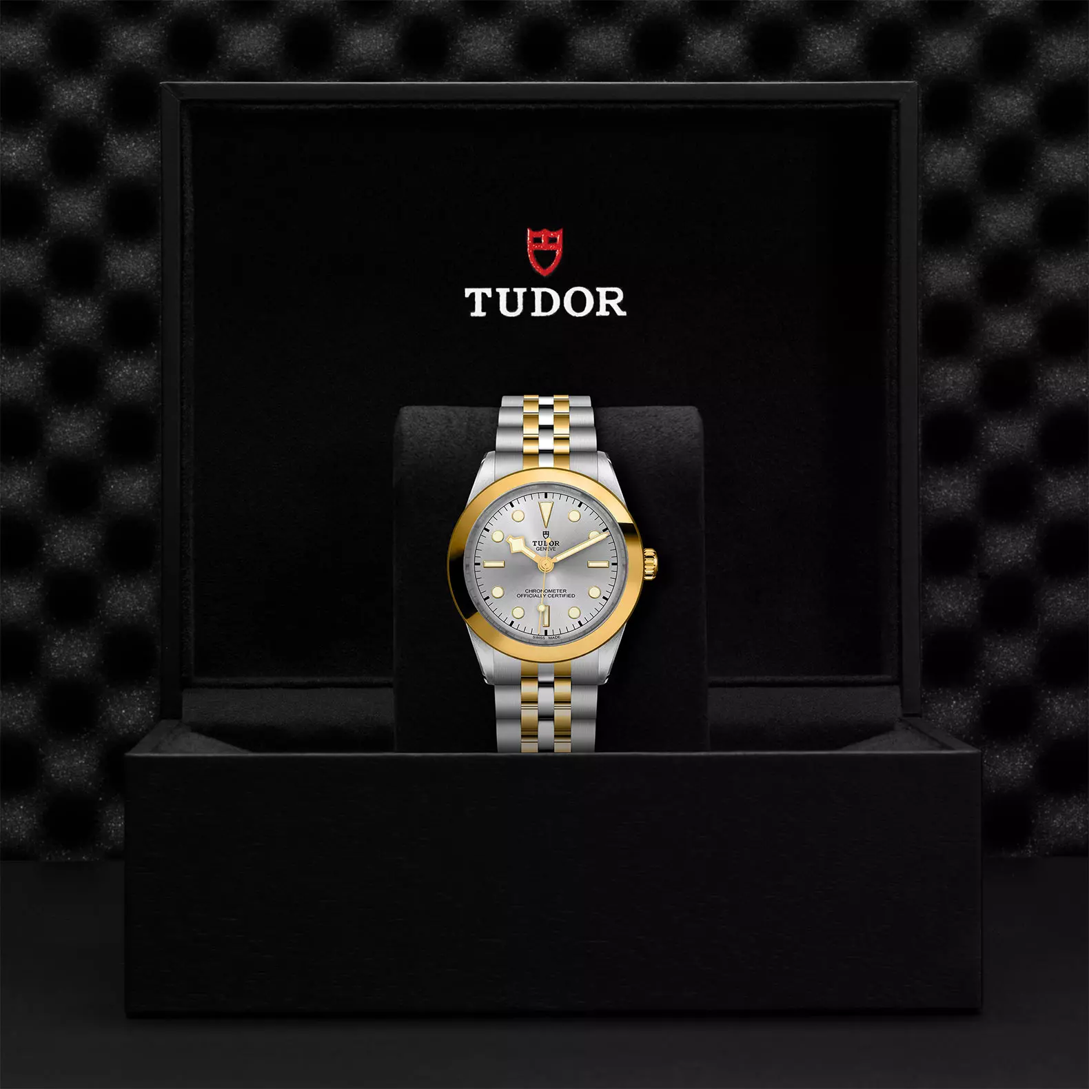 TUDOR Black Bay 39 S&G - Imagen 4