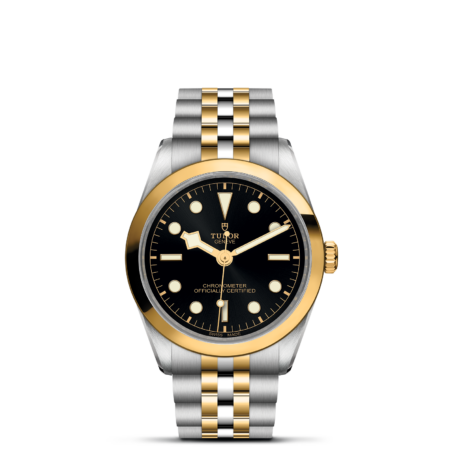 TUDOR Black Bay 36 S&G