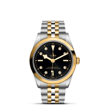 TUDOR Black Bay 36 S&G