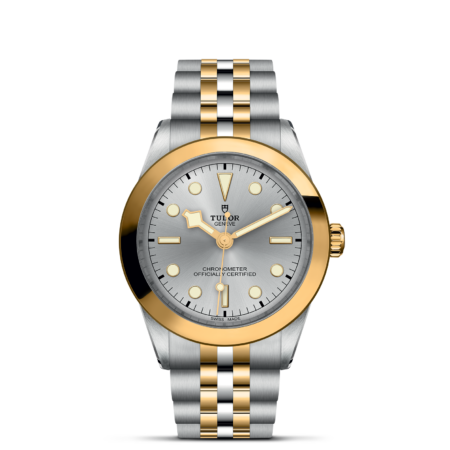 TUDOR Black Bay 39 S&G