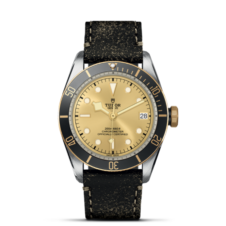 TUDOR Black Bay S&G