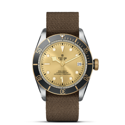 TUDOR Black Bay S&G