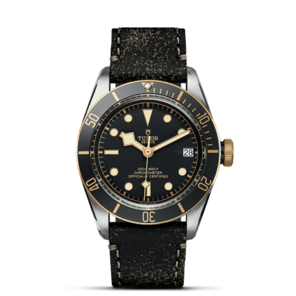 TUDOR Black Bay S&G