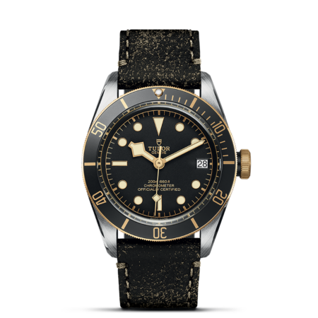 TUDOR Black Bay S&G