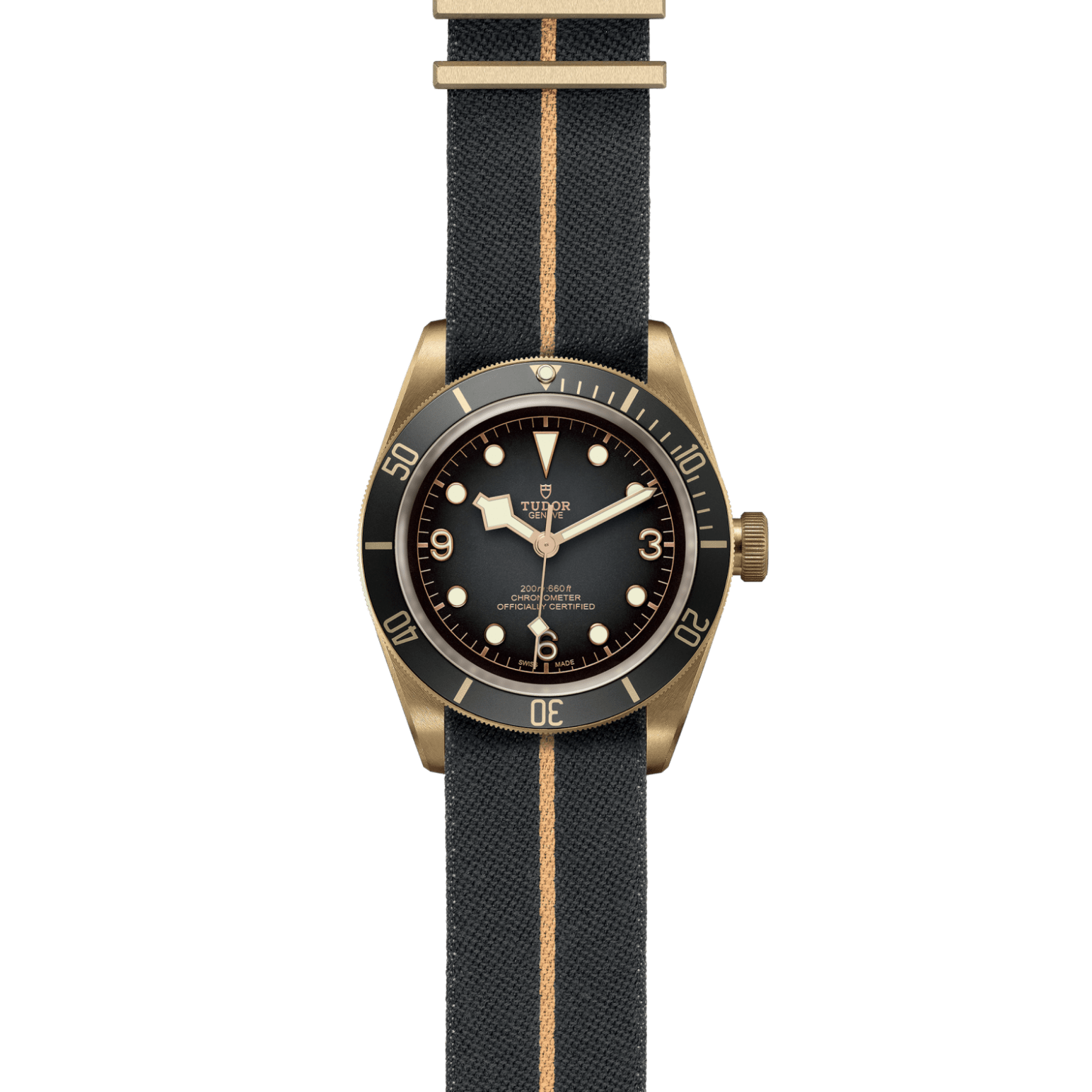 Black Bay Bronze