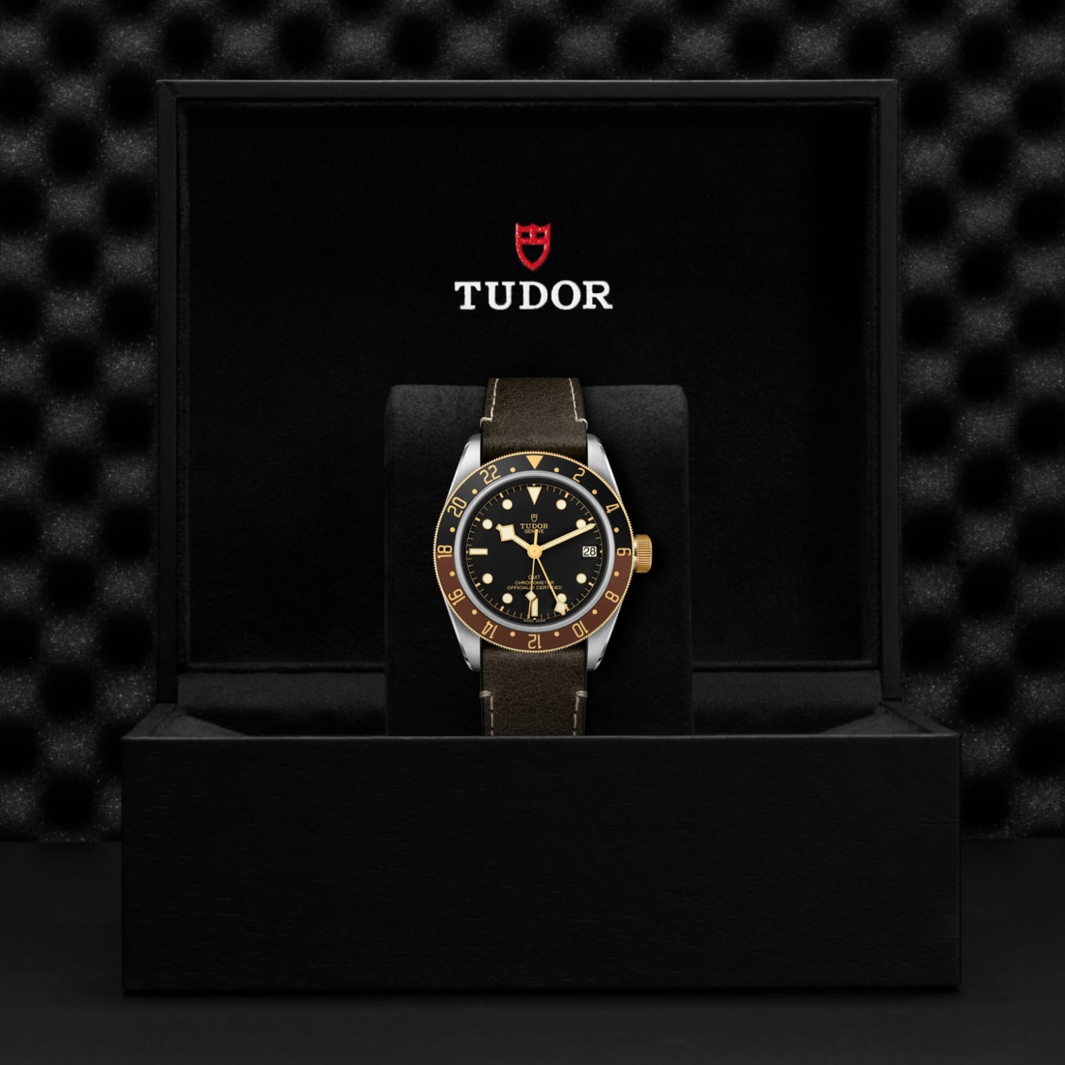 Black Bay GMT S&G