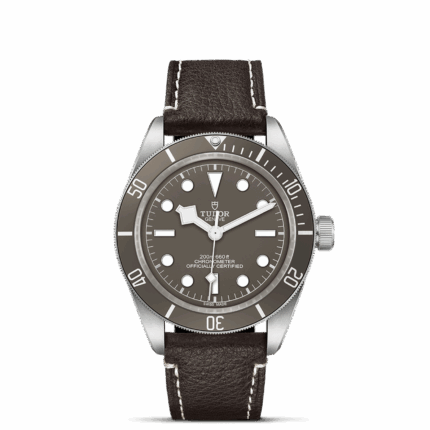 Black Bay 58 925 M79010SG-0001